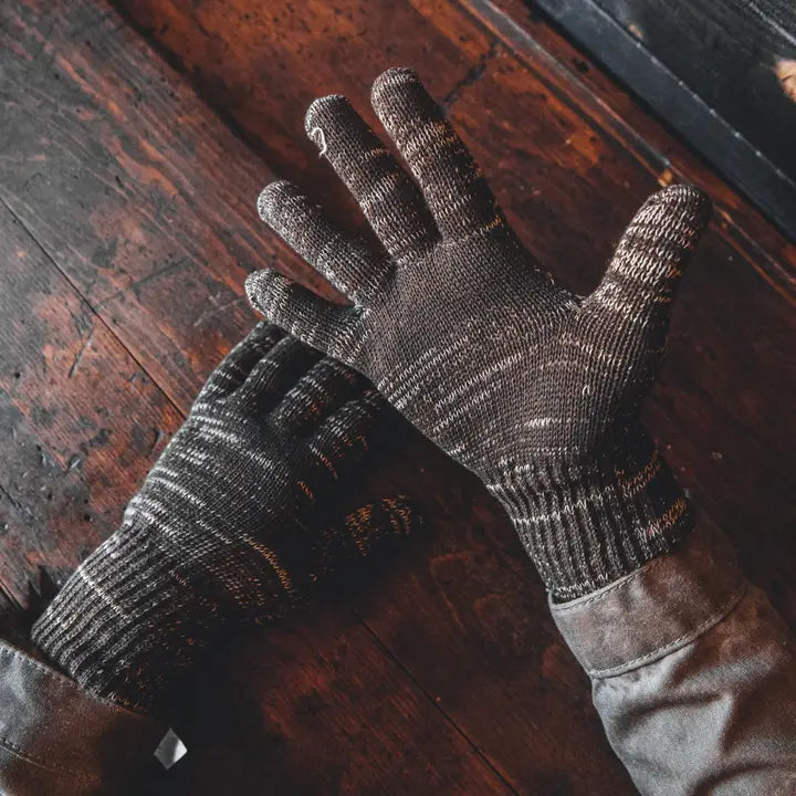 Explorer's Glove in Desert
