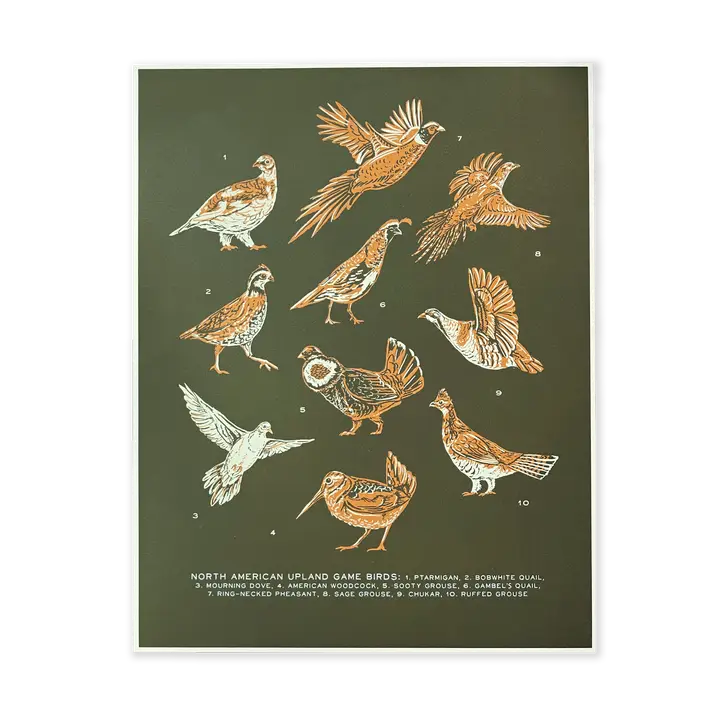 Upland Game Bird Art Print