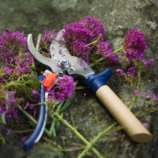 Hand Pruners in Navy