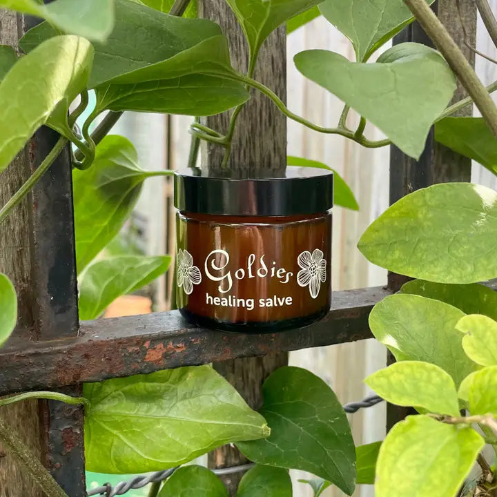 Healing Salve 2oz Jar