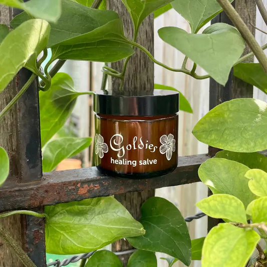 Healing Salve 2oz Jar