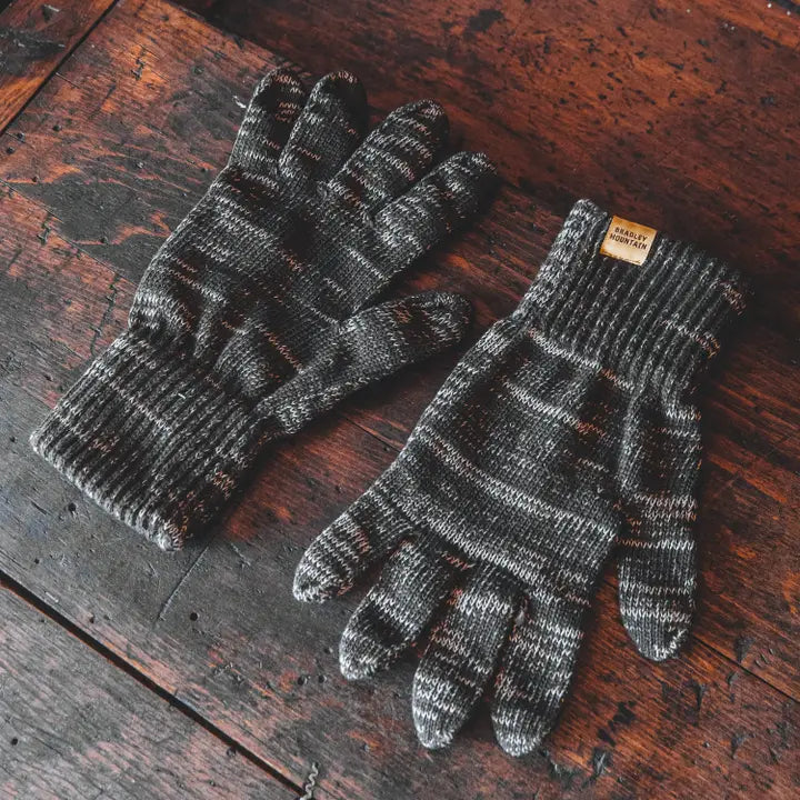 Explorer's Glove in Desert